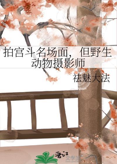 拍野生动物的人是什么职业
