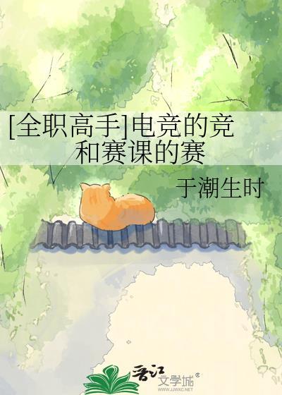 全职高手 赛制