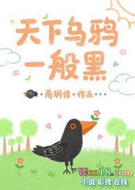 天下乌鸦一般黑上一句是什么