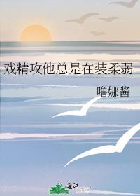 戏精攻他总是在装柔弱_作者噜娜酱