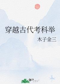 穿越古代考科举作者木子金三