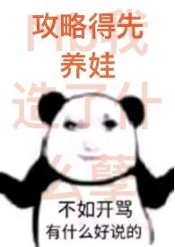 攻略是什么意思