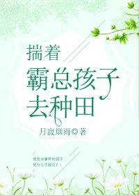 揣着霸总孩子去种田作者月寂烟雨