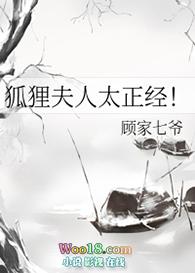 狐狸夫人太正经免费阅读