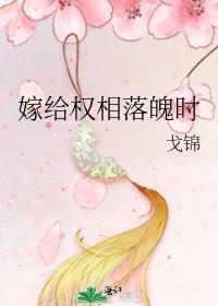 嫁给首辅这个老男人