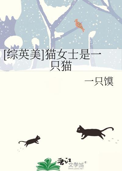 动画片猫女士是哪个