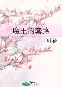 魔王的套路晋江