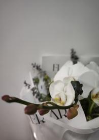 第一章我的未婚妻