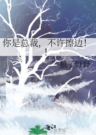 不许擦边狼子野野