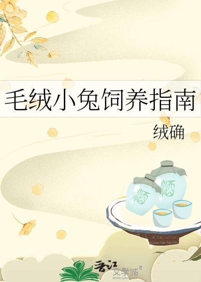 小毛绒兔子