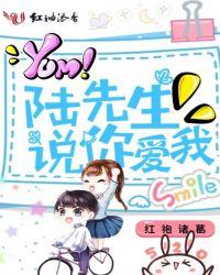 陆先生爱你终成结