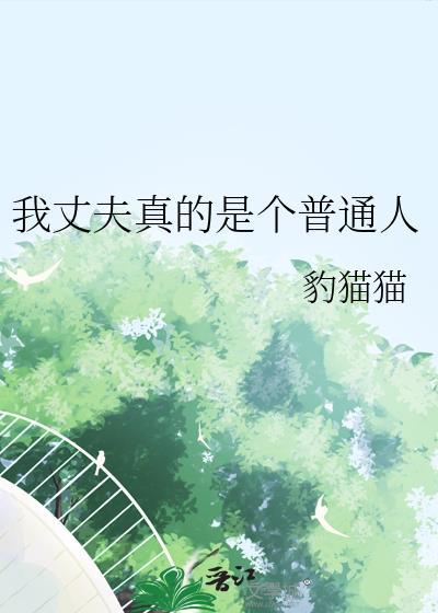 我的老公是一个平凡