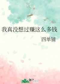 我真没想过赚这么多钱英语