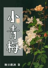 小青梅(校园1V1)笔趣阁