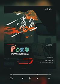 鲨鱼宝宝
