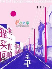 小猫咪买回家一直叫