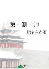 第一制卡师肥皂有点滑免费阅读