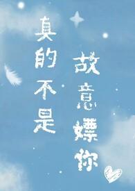 真的不是故意嫖你(校园1v1) 作者 闪烁的星