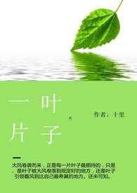 一片叶子植物图片