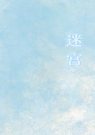 迷宫类