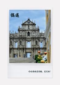 偶遇交友软件免费