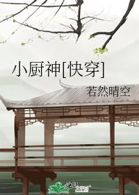 小厨神快穿30