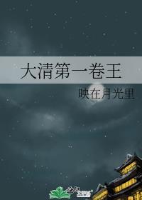 大清第一卷王全文阅读