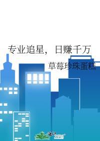 追星做什么工作比较好