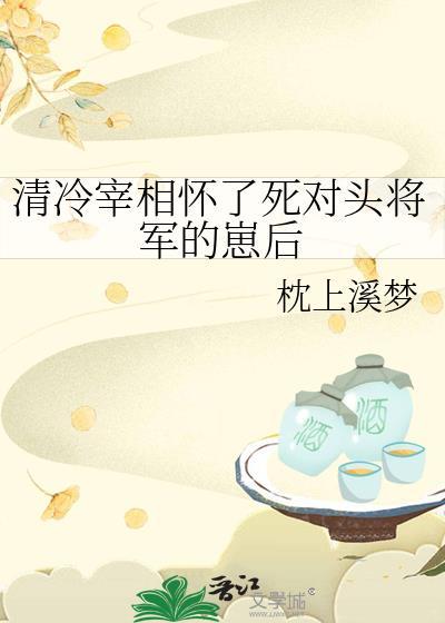 清冷宰相怀了死对头将军的崽后by枕上溪梦