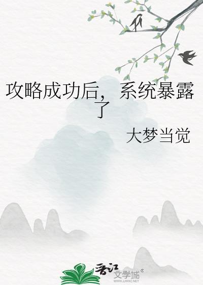 系统攻略出了错