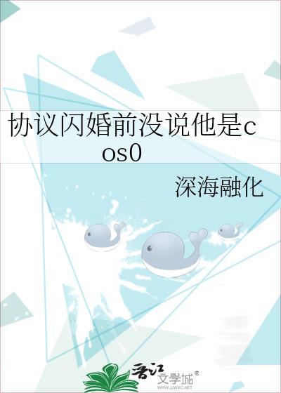 协议闪婚完结