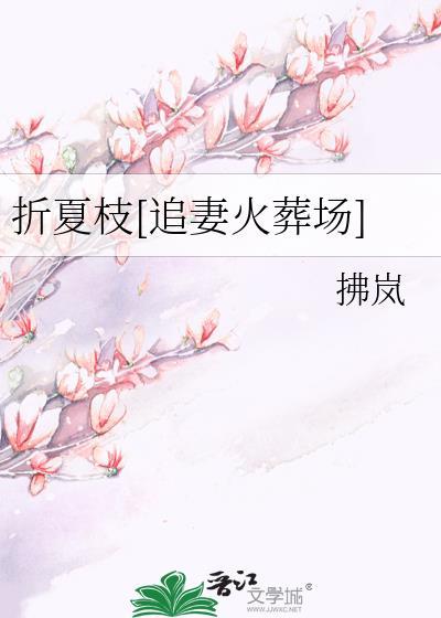 作者折枝的