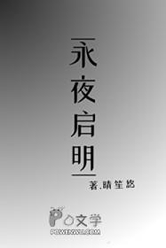 永夜启明免费阅读全文最新章节