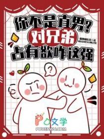 兄弟之间占有欲