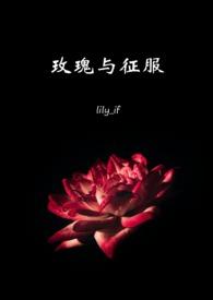 玫瑰与西服无弹窗