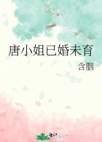 唐小姐已婚未育书评