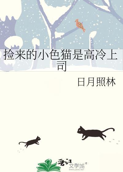 捡到可爱的小猫咪