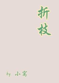 折枝by内容