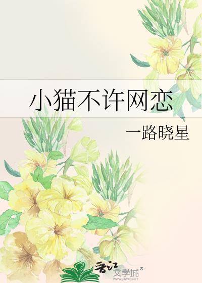 不陪小猫咪玩