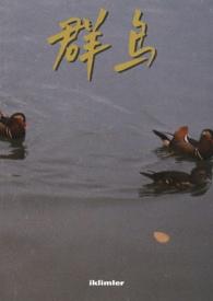 群鸟结局