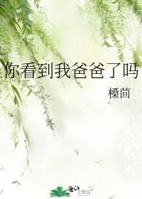 我看见你爸爸了用英语怎么说