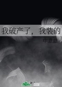我破产了旧版