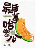 最后一盒哈密瓜番外