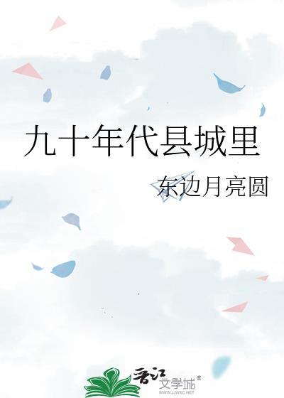 九十年代县城里全文免费阅读最新章