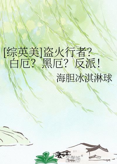 盗火者丛书