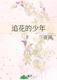 追花的少年免费阅读