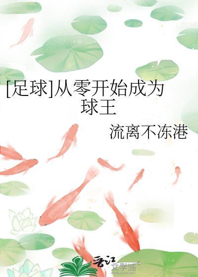 从新手到球王