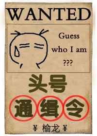 头号通缉令(无限流)作者榆龙