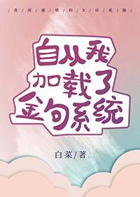 自从我加载了金句系统258