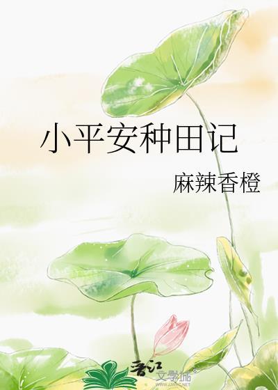小平安种田记22